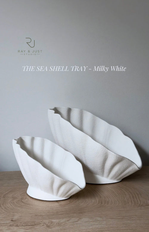 THE SEA SHELL TRAY - Milky White